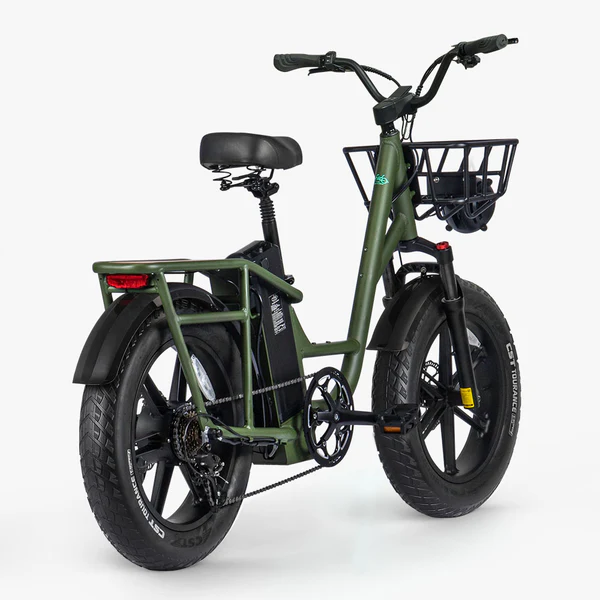 Fiido-T1-Pro-Velo-electrique-Fatbike-Cargo-green.webp