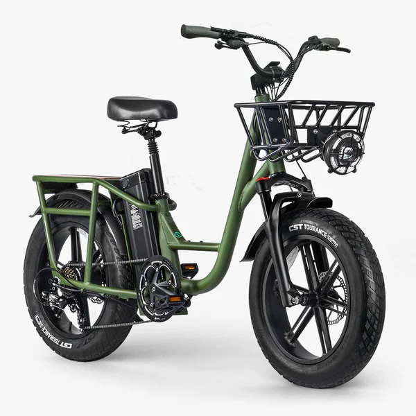 Fiido-T1-Pro-Velo-electrique-Fatbike-Cargo-vert.webp