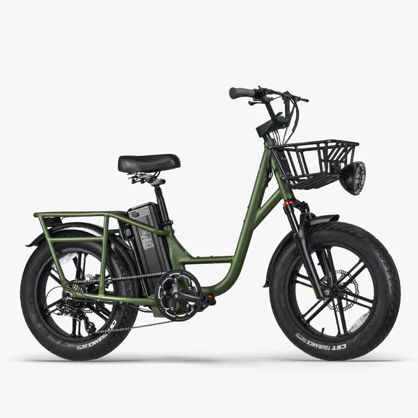 Fiido-T1-Pro-Velo-electrique-Fatbike-Cargo.webp