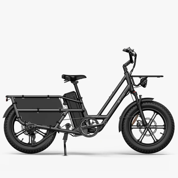 Fiido-T2-Longtail-Noir.webp