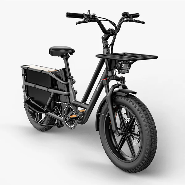 Fiido-T2-Velo-electrique-Longtail-Fatbike-Cargo-noir.webp