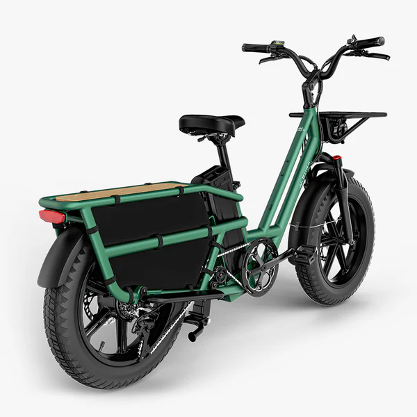 Fiido-T2-Velo-electrique-Longtail-Fatbike-Cargo-vert.webp
