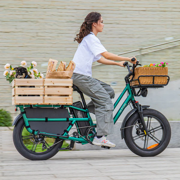Fiido-T2-Velo-electrique-Longtail-Fatbike-Cargo.webp