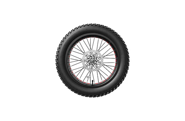 FrontWheelForLANKELEISIElectricBike.webp