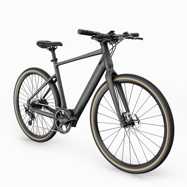 Gravel-e-Bike-Fiido-C21.webp