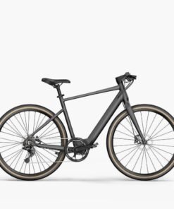 Fiido C21 - Gravel Vélo électrique Léger