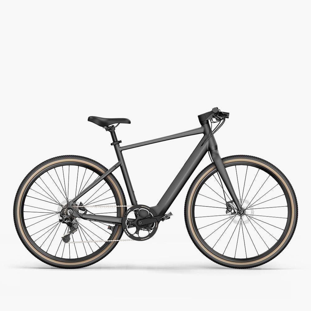 Gravel-eBike-Fiido-c21.jpg