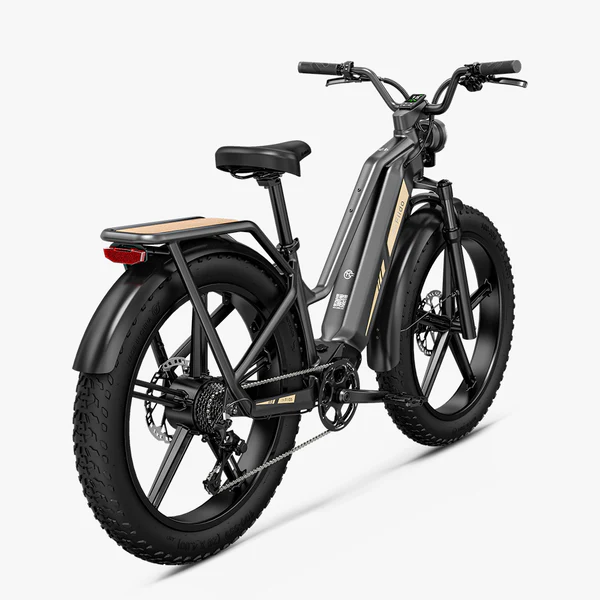 VAE-Titan-Cross-Randonnee-De-Transport-Robuste.webp
