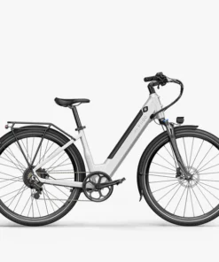 Fiido C11 vélo électrique batterie amovible pour la ville