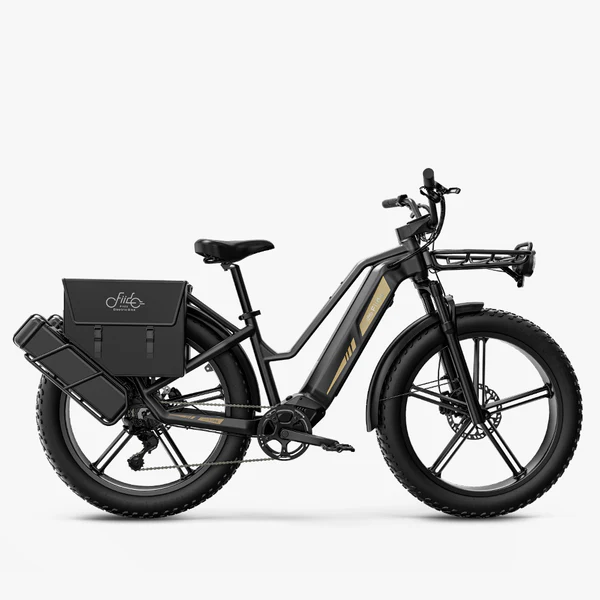 Velo-electrique-Cross-Randonnee-De-Transport-Robuste-Combo-Fiido-titan.webp