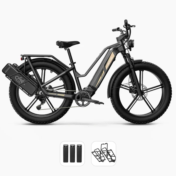 Velo-electrique-Cross-Randonnee-De-Transport-Robuste-combo.webp