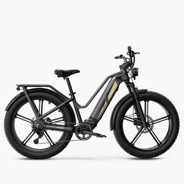 Velo-electrique-Cross-Randonnee-De-Transport-Robuste.webp