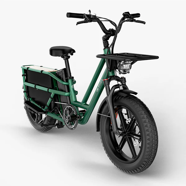 Velo-electrique-Fiido-T2-Longtail-Cargo-v.webp