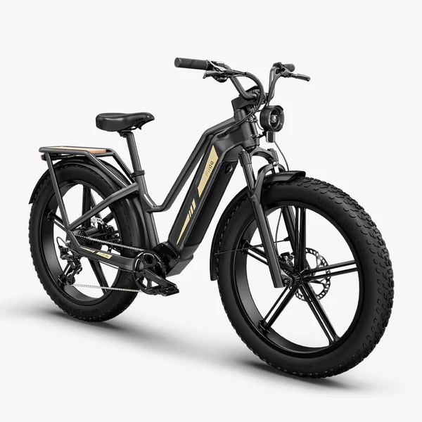 Velo-electrique-Fiido-Titan-Cross-Randonnee-De-Transport-Robuste.webp