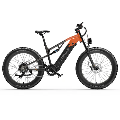 lankeleisi-rv800-plus-high-quality-750w-bafang-motor-electric-mountain-bike-717.webp