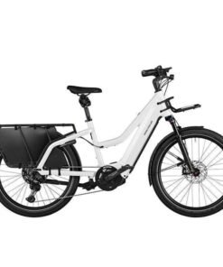 Riese & Müller – Multicharger Mixte
