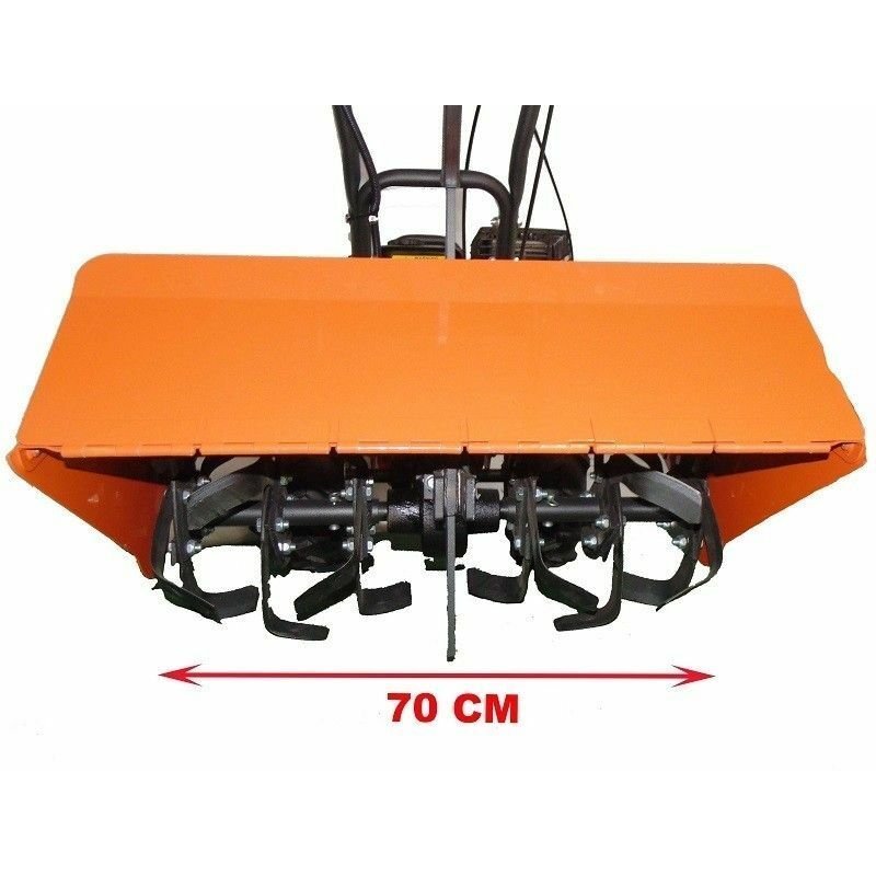 6424872_3.jpg