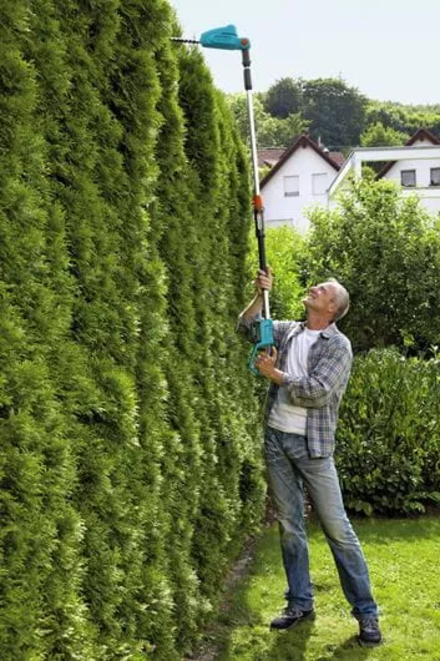 HUS_1473220_05-440w.webp